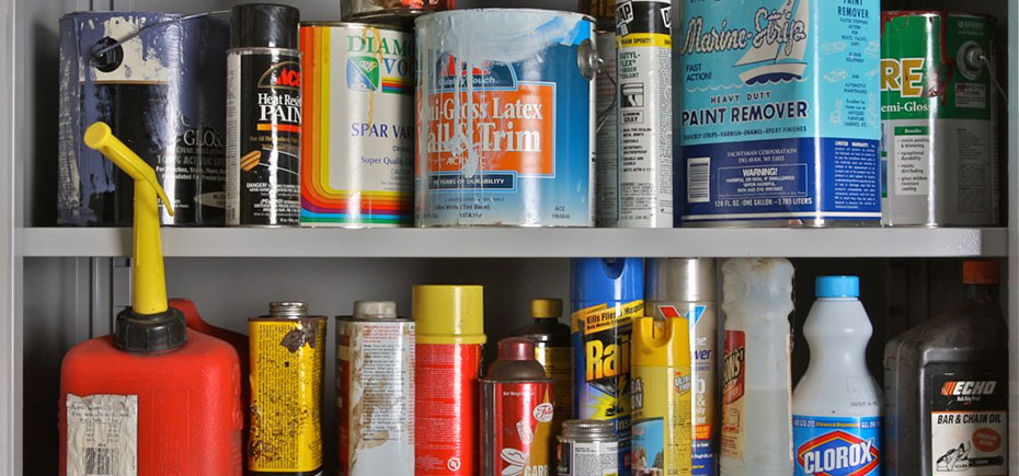shelf-full_cropped shelf-full_cropped